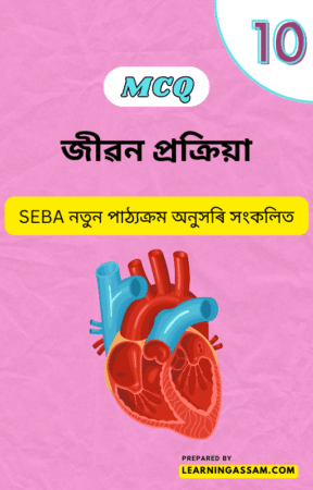 Read more about the article Class 10 Science Chapter 6 MCQ – জীৱন প্ৰক্ৰিয়া