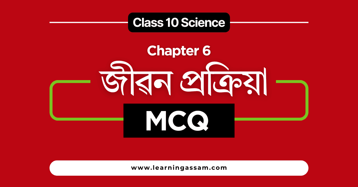 Class 10 Science Chapter 6 MCQ Assamese Medium with Answer