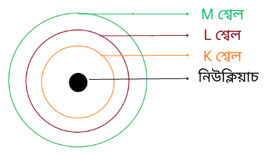 Bohrs-Energy-Level-Class-9-Science-Chapter-4