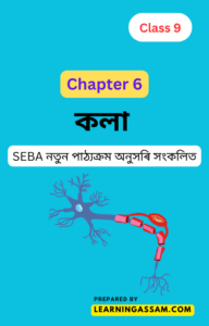 seba-class-9-science-assamese-medium-chapter-6