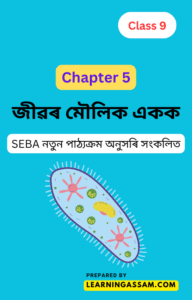 class-9-science-chapter-5-assamese-medium