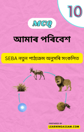 Read more about the article Class 10 Science Chapter 15 MCQ – আমাৰ পৰিবেশ